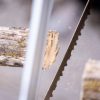 Sven-Saw 21 inch Blade